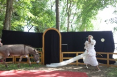 File O Romeo 17 * 5616 x 3744 * (8.16MB)